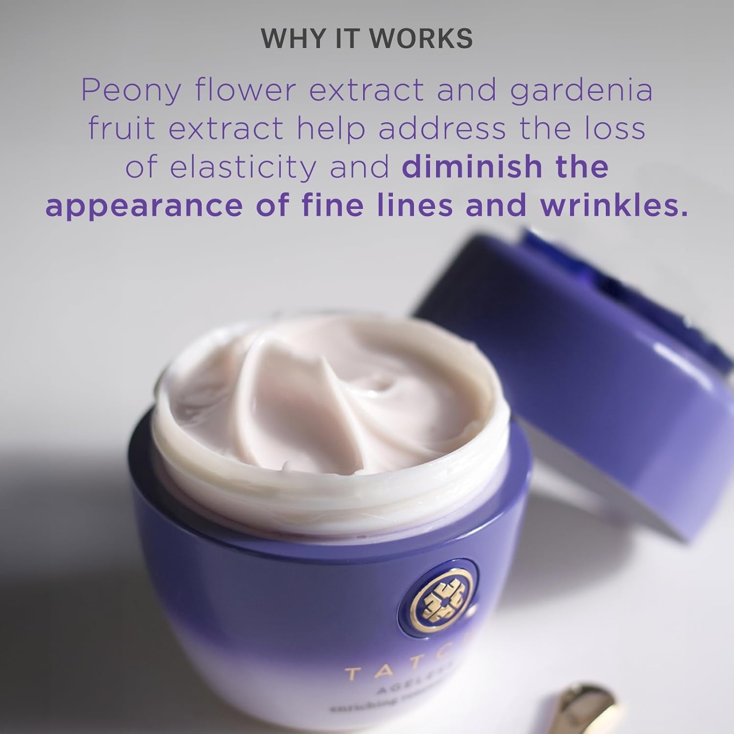 image:imageTATCHA Ageless Enriching Renewal Cream Moisturizing Skin Cream for Firmer Skin to Reduce Appearance of Fine Lines and Wrinkles 55 ml 186 oz