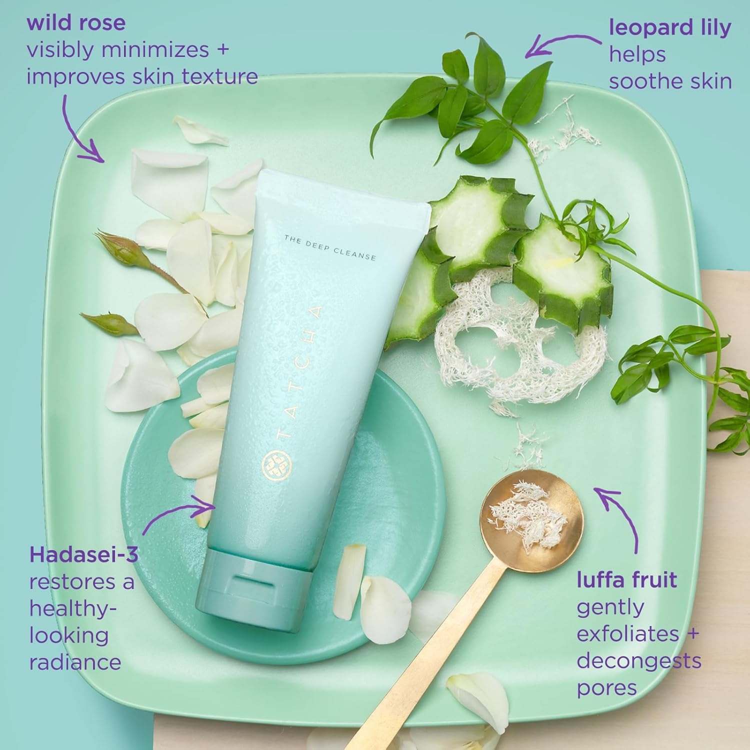 image:imageTATCHA The Deep Cleanse Deep Gentle Exfoliating Cleanser Lifts Dirt Minimizes Excess Oil amp Unclogs amp Tightens Pores5 Fl Oz Pack of 1