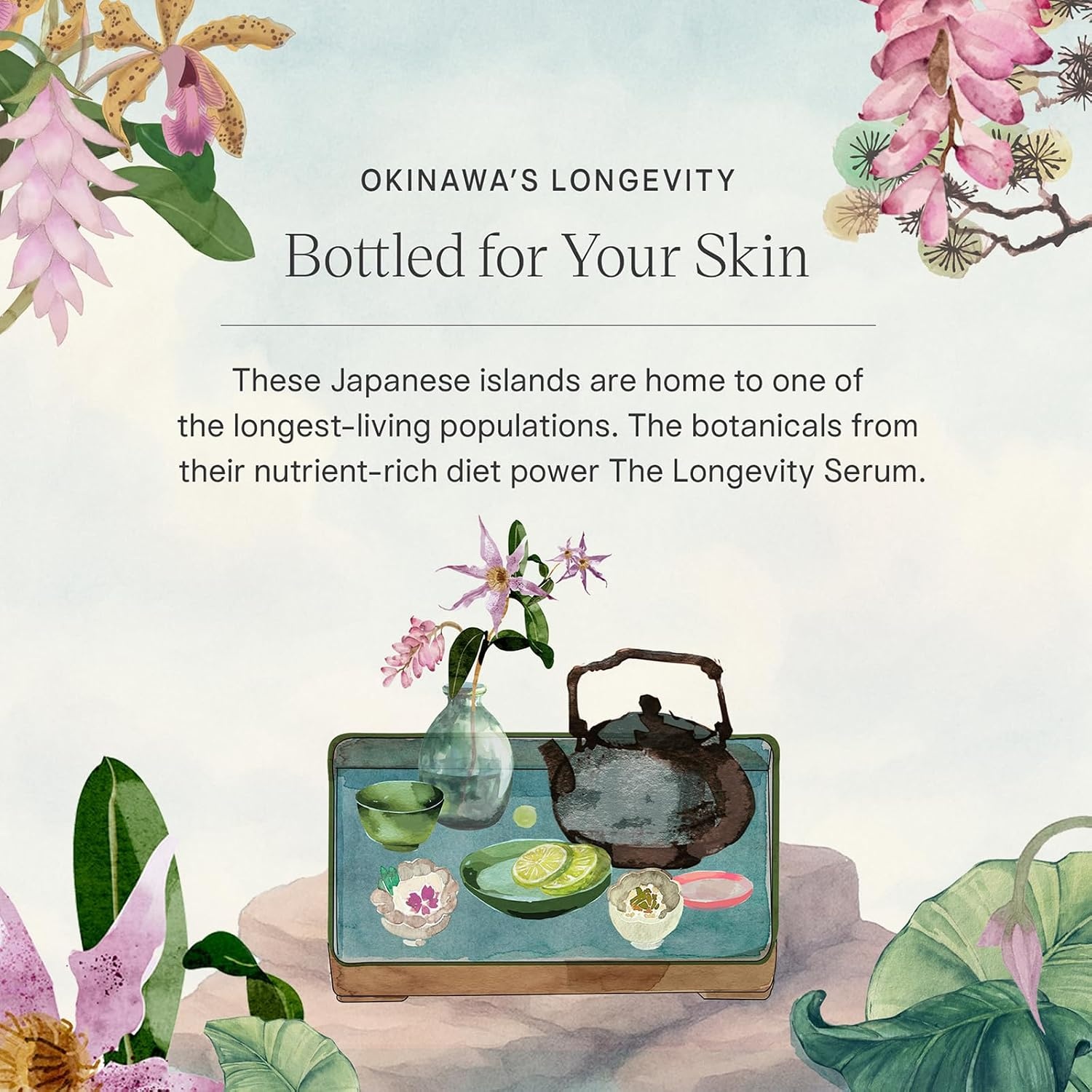 image:imageTATCHA The Longevity Serum Skin Strengthening Treatment Delays Visible Signs of Aging amp Boost Cellular Resilience with Okinawa Cellescence Complex BioActive Lipids and ProAHA Prebiotic